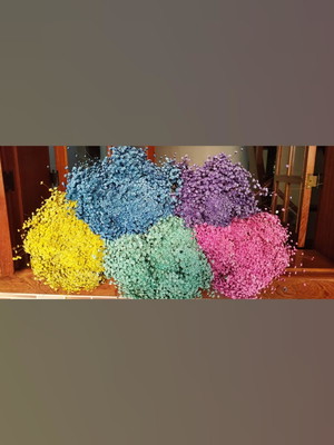 500 flores sempre vivas naturais possivel escolher as cores