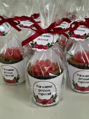 Sabonete mini suculentas lembrancinha