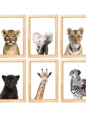 Quadros decoração infantil safari animais reais filhotes