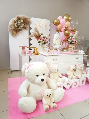 Decoração chá bebê menina(locação)