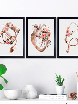 Quadros consultório médico coração anatomia