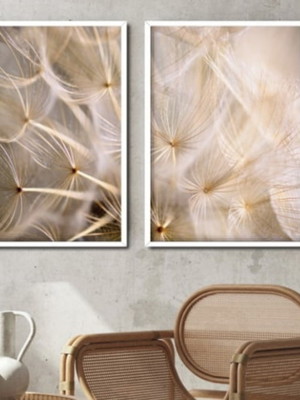 'quadros decorativos modernos lançamento