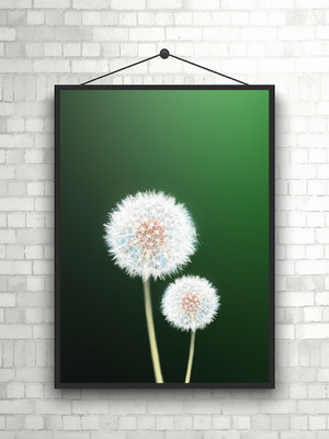Arte digital para quadro - dente de leão