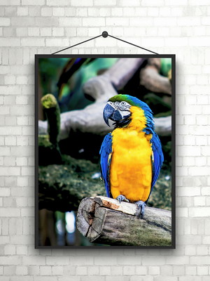 Arte digital para quadro - arara