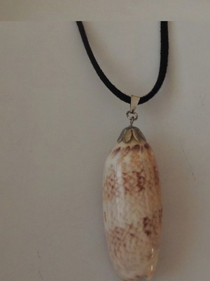 Colar com caracol do mar natural