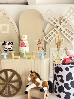 Locação decoração fazendinha