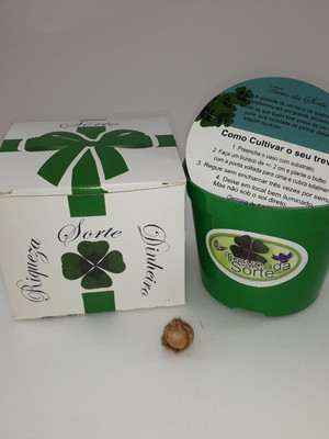 Mini kit presente eco sorte trevo de 4 folhas