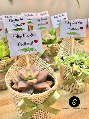 Lembrança personalizada suculenta brinde dia da mulher