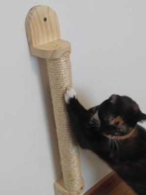 Arranhador para gatos