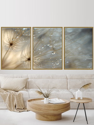 Quadros decorativos dente de leão 50x70cm