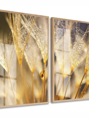 Quadro decorativo neutro dente de leão moldura e vidro