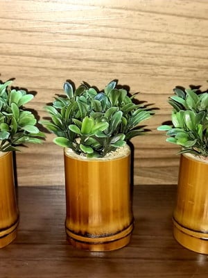 Kit 3 vasinhos de bambu com buxinhos trio de mini vasos