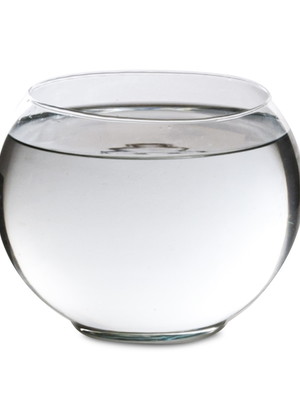 Vaso aquário redondo vidro transparente para decoração