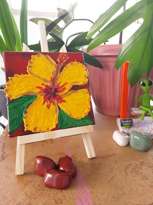 Estudo das flores: hibisco