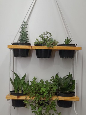 Suporte para vaso / jardim vertical suspenso + 6 vasos