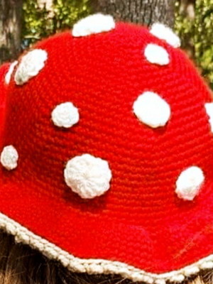 Bucket cogumelo