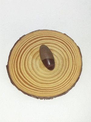 Lingam de shiva