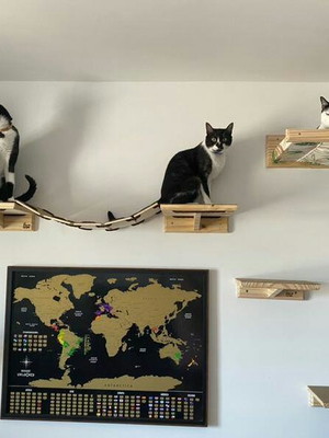 Kit gatificaçaõ 03 - parquinho para gato - em madeira