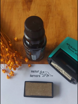 Kit de carimbo para tecido