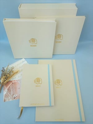 Álbum de fotos livro do bebê caderneta de vacina e pasta