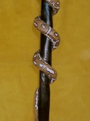 Cetro cobra piton/python mod 01 - 55cm