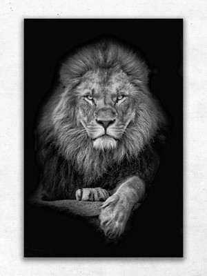 Quadro leão de judá 60x90 moderno para sala quarto