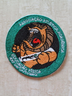 Patch bordado logo personalizada vi