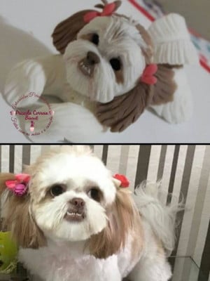 Miniatura pet personalizada