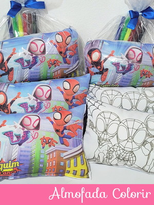 Almofada pinte e lave 15x20 + caneta - spidey