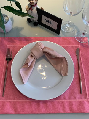 Kit jogo americano impermeável rosa e guardanapo - 6 lugares