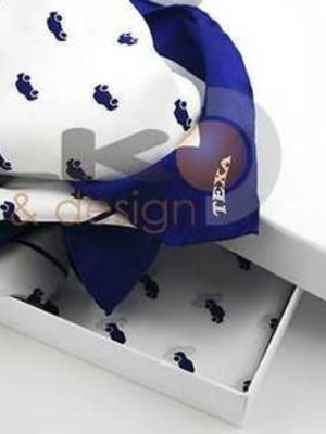 Lenco ou echarpe personalizada com logos