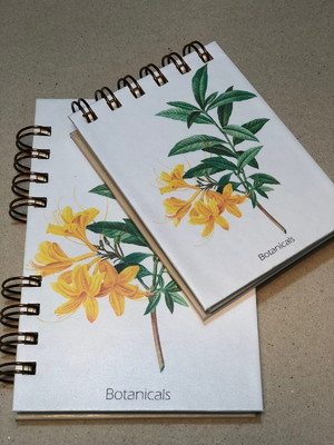 Kit caderno e bloco