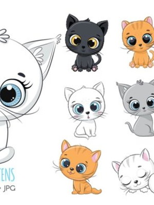 Kit digital gatinhos afnt