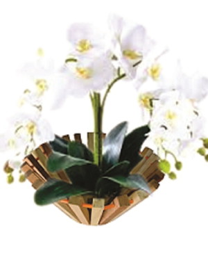 Cachepot conico ( largo) 30 cm circuferencia