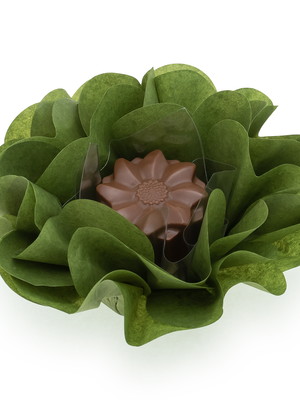 50 forminhas para doces camélia – verde pistache