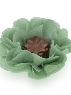 50 forminhas doces camélia – verde oliva - pronta-entrega