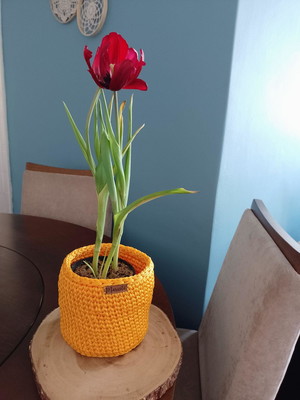 Vaso cachepô de crochê