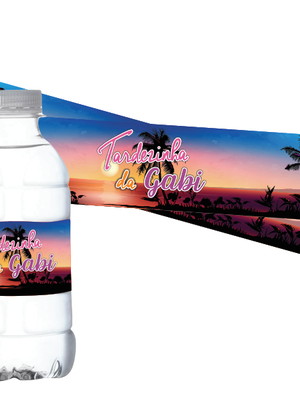 Adesivo água lindoya 240ml tardezinha