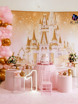 Locação decoração castelo realeza. estamos na zs/sp