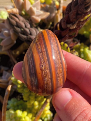 Yoni egg de jaspe madeira