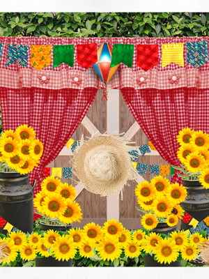 Painel fotografico festa junina 4,5x3m