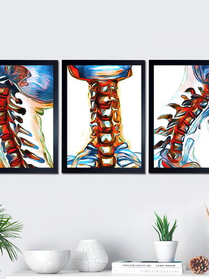 Quadros anatomia fisioterapia ortopedia consultório médico