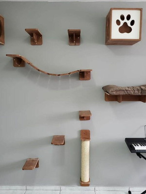 Circuito playground para gatos envernizado mogno