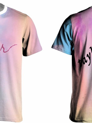 Camisa taylor swift