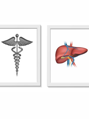 Kit 2 quadros decorativos fígado hepatologia 20x30cm