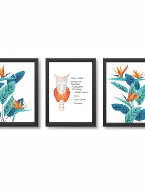 Kit 3 quadros decorativos tireoide endocrinologia 20x30cm
