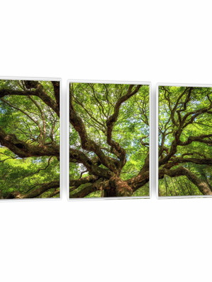 Quadro canvas trio árvore frondosa com moldura 45x30cm cada