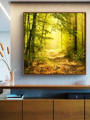 Quadro caminho em floresta árvores canvas moldura 100x100