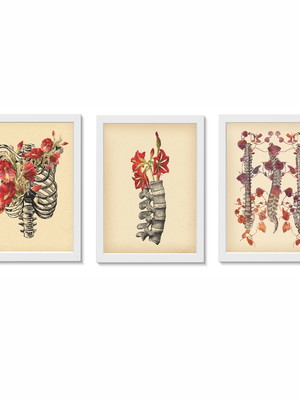 Kit 3 quadros decorativos coluna vertebral 20x30cm
