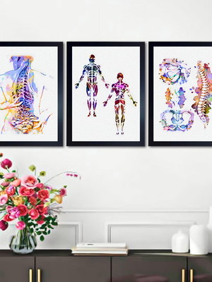 Quadros anatomia fisioterapia ortopedia consultório médico